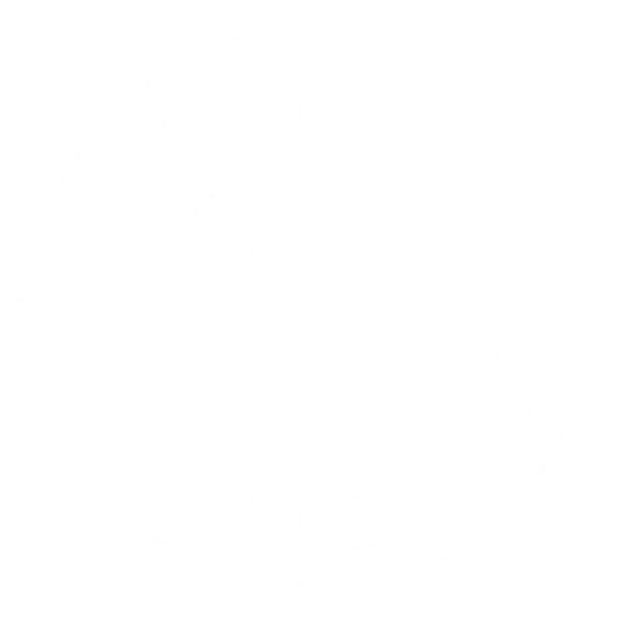 Asiabridge - Consulting